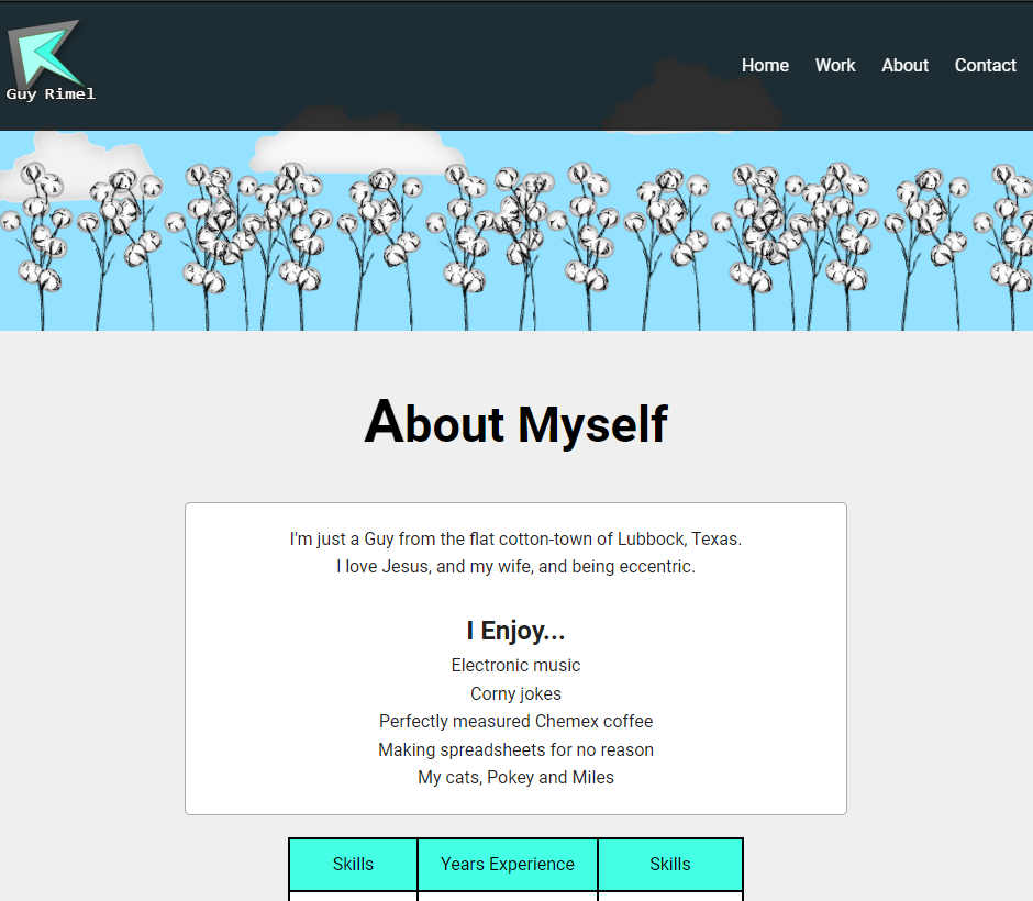 Portfolio Website Screenshot